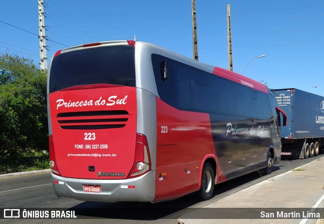 Empresa Expresso Princesa do Sul 223 na cidade de Teresina, Piauí, Brasil, por San Martin Lima. Número da foto: #8018060.