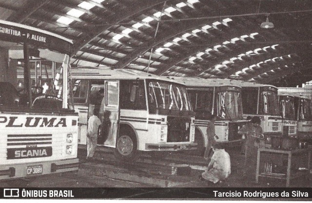 Pluma Conforto e Turismo 3089 na cidade de Curitiba, Paraná, Brasil, por Tarcisio Rodrigues da Silva. ID da foto: 8017002.