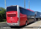 Empresa Expresso Princesa do Sul 223 na cidade de Teresina, Piauí, Brasil, por San Martin Lima. Número da foto: #8018060.