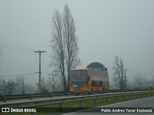 Buses Linatal 151 na cidade de San Fernando, Colchagua, Libertador General Bernardo O'Higgins, Chile, por Pablo Andres Yavar Espinoza. ID da foto: 8020870.