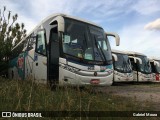 Auto Viação 1001 6035 na cidade de São Paulo, São Paulo, Brasil, por Gabriel Moura. Número da foto: #8025002.
