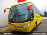 Pullman El Huique 05 na cidade de Santa Cruz, Colchagua, Libertador General Bernardo O'Higgins, Chile, por Pablo Andres Yavar Espinoza. Número da foto: #8023581.
