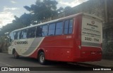 Rouxinol 939 na cidade de Ibirité, Minas Gerais, Brasil, por Lucas Máximo. Número da foto: #8022768.