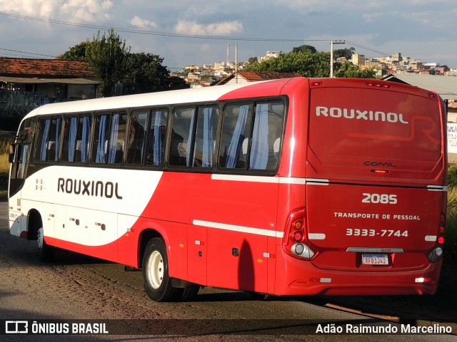 Rouxinol 2085 na cidade de Belo Horizonte, Minas Gerais, Brasil, por Adão Raimundo Marcelino. ID da foto: 7976452.