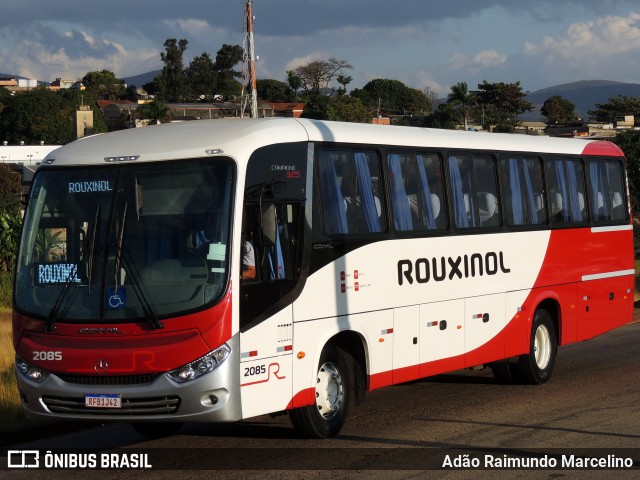 Rouxinol 2085 na cidade de Belo Horizonte, Minas Gerais, Brasil, por Adão Raimundo Marcelino. ID da foto: 7976444.