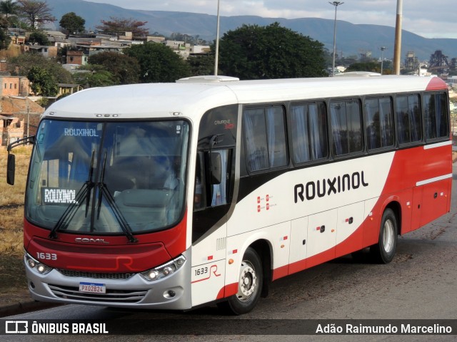 Rouxinol 1633 na cidade de Belo Horizonte, Minas Gerais, Brasil, por Adão Raimundo Marcelino. Número da foto: #8028493.