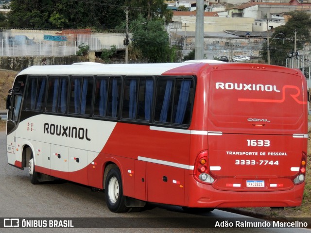 Rouxinol 1633 na cidade de Belo Horizonte, Minas Gerais, Brasil, por Adão Raimundo Marcelino. Número da foto: #8028502.