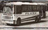 Pluma Conforto e Turismo 8115 na cidade de Florianópolis, Santa Catarina, Brasil, por Tarcisio Rodrigues da Silva. Número da foto: #8029759.