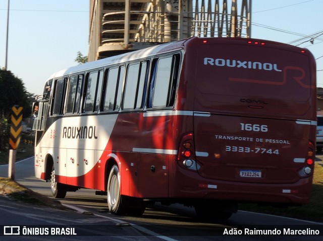 Rouxinol 1666 na cidade de Belo Horizonte, Minas Gerais, Brasil, por Adão Raimundo Marcelino. Número da foto: #8035164.