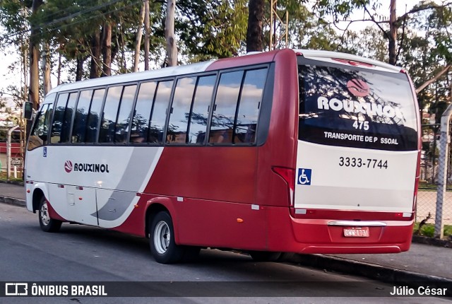 Rouxinol 475 na cidade de Belo Horizonte, Minas Gerais, Brasil, por Júlio César. Número da foto: #8032685.