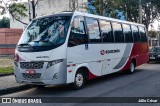 Rouxinol 475 na cidade de Belo Horizonte, Minas Gerais, Brasil, por Júlio César. Número da foto: #8032688.