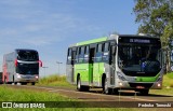 Viação Garcia 8973 na cidade de Apucarana, Paraná, Brasil, por Pedroka Ternoski. Número da foto: #8034801.