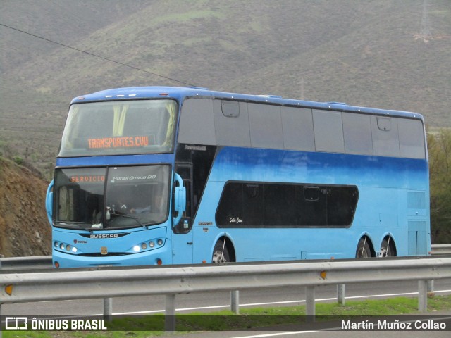 CVU  na cidade de Los Vilos, Choapa, Coquimbo, Chile, por Martín Muñoz Collao. ID da foto: 8036221.