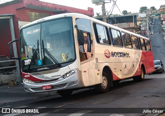 Rouxinol 405 na cidade de Belo Horizonte, Minas Gerais, Brasil, por Júlio César. Número da foto: #8043855.