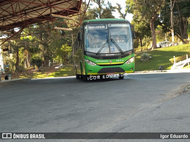 Setelagoano 1077 na cidade de Pedro Leopoldo, Minas Gerais, Brasil, por Igor Eduardo. Número da foto: #8044855.