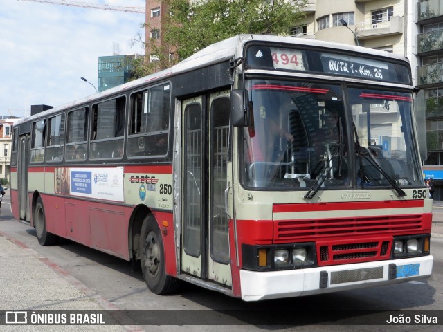 COETC - Cooperativa de Obreros y Empleados del Transporte Coletivo 250 na cidade de Montevideo, Montevideo, Uruguai, por João Silva. Número da foto: #8047041.