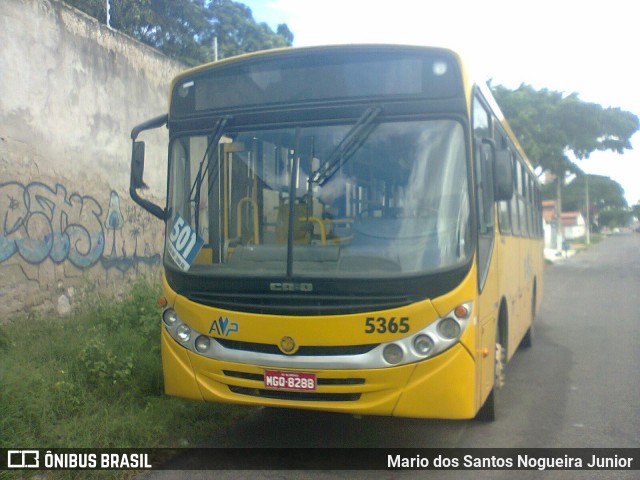 AVP - Auto Viação Paraíso 5365 na cidade de Aracaju, Sergipe, Brasil, por Mario dos Santos Nogueira Junior. ID da foto: 8045938.