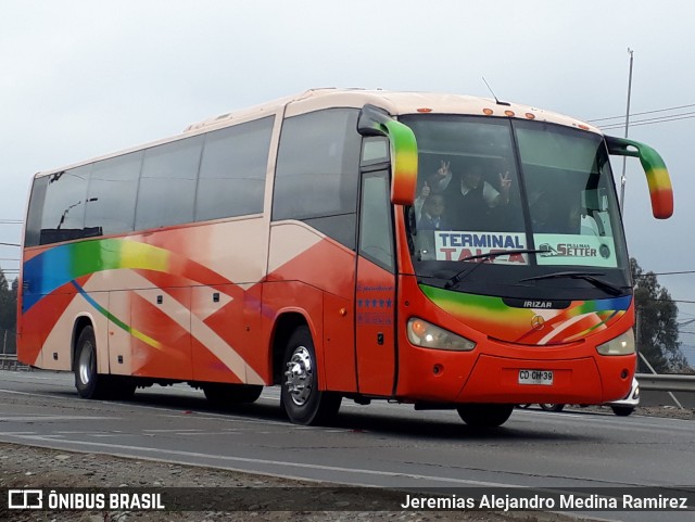 Pullman Setter  na cidade de San Fernando, Colchagua, Libertador General Bernardo O'Higgins, Chile, por Jeremias Alejandro Medina Ramirez. Número da foto: #8047177.