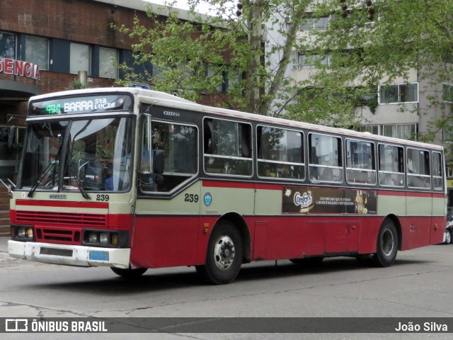 COETC - Cooperativa de Obreros y Empleados del Transporte Coletivo 239 na cidade de Montevideo, Montevideo, Uruguai, por João Silva. Número da foto: #8046054.