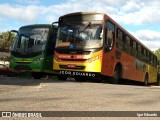Empresa Alcino G. Cotta 89026 na cidade de Pedro Leopoldo, Minas Gerais, Brasil, por Igor Eduardo. Número da foto: #8044821.