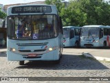 Terra Luz Transportes 41961 na cidade de Fortaleza, Ceará, Brasil, por Wescley  Costa. Número da foto: #8046688.