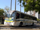 Trevo Transportes Coletivos 1195 na cidade de Porto Alegre, Rio Grande do Sul, Brasil, por Claudio Roberto. ID da foto: :id.