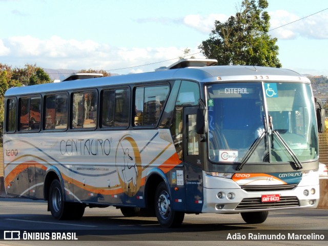 Centauro Turismo 1200 na cidade de Belo Horizonte, Minas Gerais, Brasil, por Adão Raimundo Marcelino. Número da foto: #8051183.