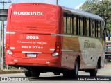 Rouxinol 2065 na cidade de Belo Horizonte, Minas Gerais, Brasil, por Adão Raimundo Marcelino. Número da foto: #8051272.
