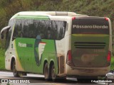Pássaro Verde 11105 na cidade de Mariana, Minas Gerais, Brasil, por César Natividade. Número da foto: #:id.