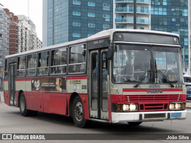 COETC - Cooperativa de Obreros y Empleados del Transporte Coletivo 258 na cidade de Montevideo, Montevideo, Uruguai, por João Silva. ID da foto: 8051648.