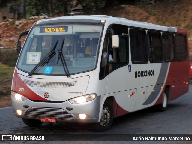 Rouxinol 011 na cidade de Belo Horizonte, Minas Gerais, Brasil, por Adão Raimundo Marcelino. ID da foto: 8057039.