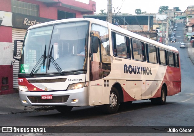 Rouxinol 777 na cidade de Belo Horizonte, Minas Gerais, Brasil, por Júlio César. Número da foto: #8059180.