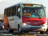 Rouxinol 084 na cidade de Belo Horizonte, Minas Gerais, Brasil, por Adão Raimundo Marcelino. Número da foto: #8060252.