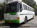 Ônibus Particulares 8820 na cidade de Belo Horizonte, Minas Gerais, Brasil, por Viavel Transportes. Número da foto: #8057743.