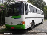 Ônibus Particulares 8820 na cidade de Belo Horizonte, Minas Gerais, Brasil, por Viavel Transportes. ID da foto: :id.