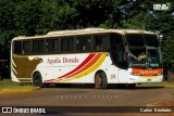 Águila Dorada 108 na cidade de Posadas, Capital, Misiones, Argentina, por Carlos Kircheim. Número da foto: #8061984.