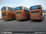 Marcopolo  na cidade de Curitiba, Paraná, Brasil, por Thiago Henrique Godoi. Número da foto: #:id.