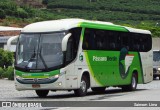 Pássaro Verde 1047 na cidade de Manhuaçu, Minas Gerais, Brasil, por Saimom  Lima. Número da foto: #7983574.