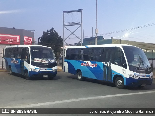 Andibus  na cidade de San Fernando, Colchagua, Libertador General Bernardo O'Higgins, Chile, por Jeremias Alejandro Medina Ramirez. Número da foto: #7987602.