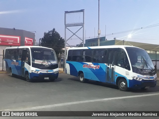 Andibus  na cidade de San Fernando, Colchagua, Libertador General Bernardo O'Higgins, Chile, por Jeremias Alejandro Medina Ramirez. ID da foto: 7987602.