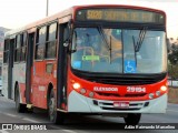 Transbus Transportes > Gávea Transportes 29194 na cidade de Belo Horizonte, Minas Gerais, Brasil, por Adão Raimundo Marcelino. Número da foto: #7988390.