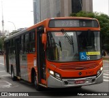 TRANSPPASS - Transporte de Passageiros 8 0137 na cidade de São Paulo, São Paulo, Brasil, por Felipe Goncalves do Vale. ID da foto: :id.