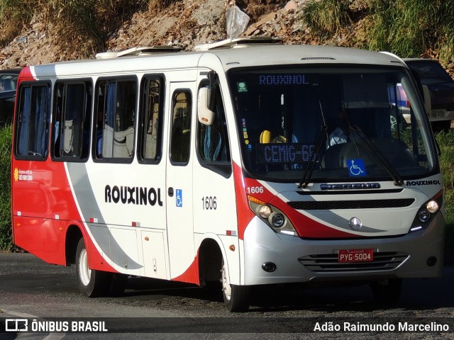 Rouxinol 1606 na cidade de Belo Horizonte, Minas Gerais, Brasil, por Adão Raimundo Marcelino. ID da foto: 7990857.