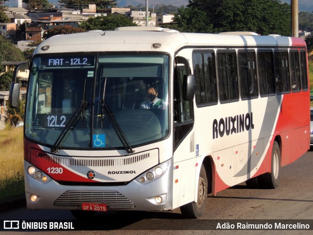Rouxinol 1230 na cidade de Belo Horizonte, Minas Gerais, Brasil, por Adão Raimundo Marcelino. Número da foto: #7990758.