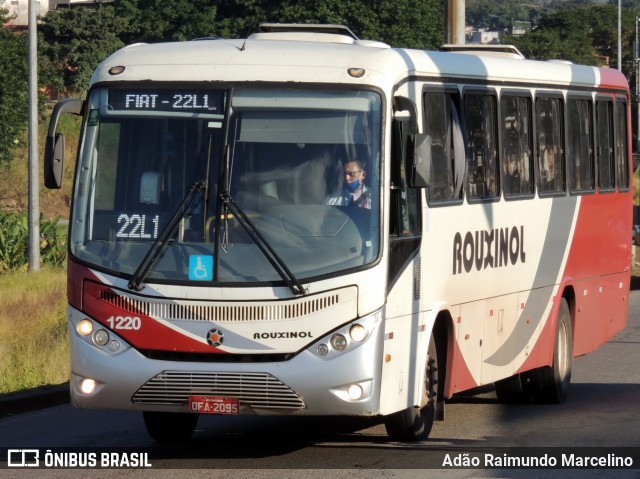Rouxinol 1220 na cidade de Belo Horizonte, Minas Gerais, Brasil, por Adão Raimundo Marcelino. Número da foto: #7990748.