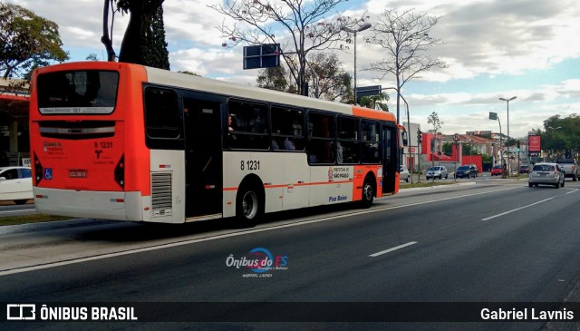 TRANSPPASS - Transporte de Passageiros 8 1231 na cidade de São Paulo, São Paulo, Brasil, por Gabriel Lavnis. ID da foto: 7992436.