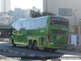 Pássaro Verde 19152 na cidade de Belo Horizonte, Minas Gerais, Brasil, por Douglas Célio Brandao. Número da foto: #:id.