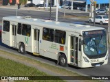 Viação Santo Ângelo 99004 na cidade de Curitiba, Paraná, Brasil, por Ricardo Matu. Número da foto: #:id.
