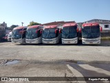 Beija Flor Turismo 5800 na cidade de São Paulo, São Paulo, Brasil, por  Rogerio Porttuga. Número da foto: #8093628.