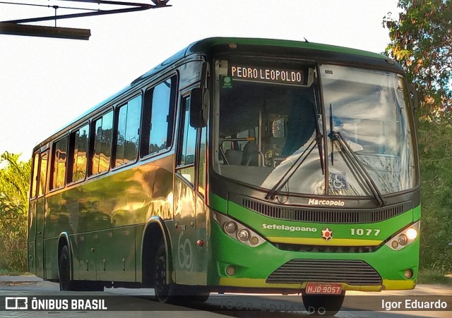 Setelagoano 1077 na cidade de Pedro Leopoldo, Minas Gerais, Brasil, por Igor Eduardo. ID da foto: 8095820.